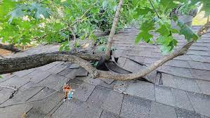 tree damaged roof 