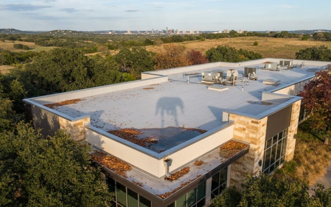 Managing Oak Tree Leaf Debris on Commercial Roofs in Austin